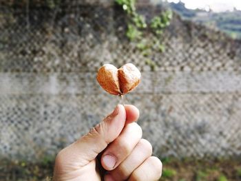 Close-up of hand holding heart shape