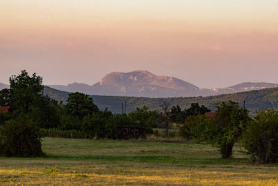 Scenic view of field against sky during sunset