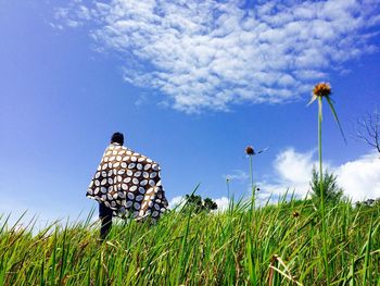 Plants growing on field against sky