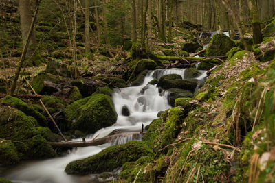 View of waterfall in forest