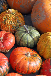 Full frame shot of pumpkins at market stall