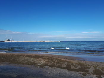 Scenic view of sea against blue sky
