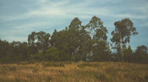 Nature scenery with cloudy sky