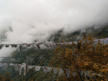 Scenic view of landscape against sky during autumn