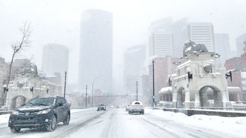 Cars on street in winter