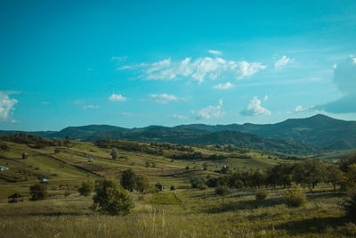 Scenic view of field against blue sky