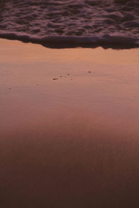 Scenic view of beach against sky during sunset