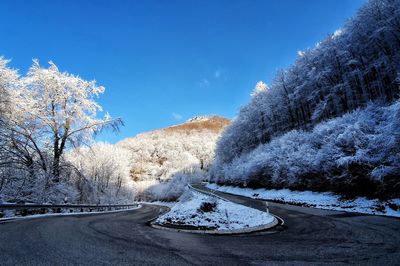 Snow covered road by trees against sky