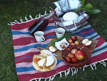 Spring picnic with easter cakes, homemade wine and eggs.easter feeding on the grass on the lawn 