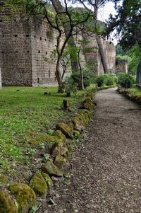 Footpath amidst trees and plants