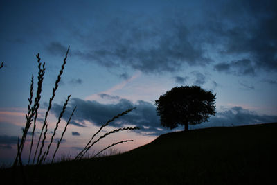 Silhouette trees on landscape against sky at sunset