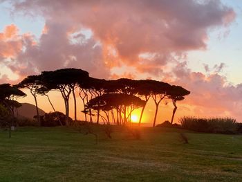 Scenic view of field against sky during sunset