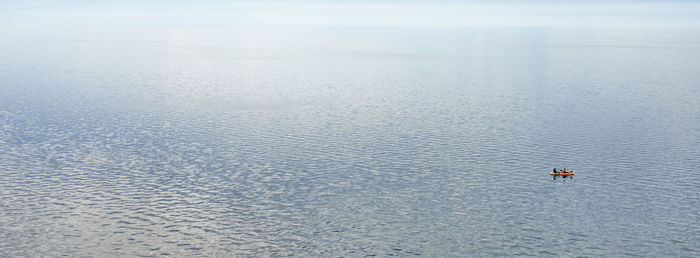 High angle view of a duck in sea