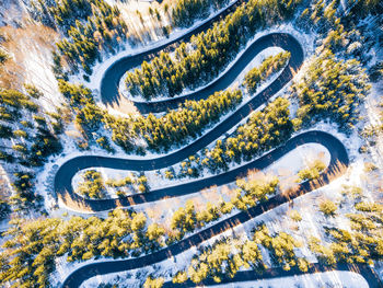 High angle view of road amidst trees in city