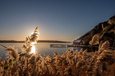 Lökholmen on the swedish west coast