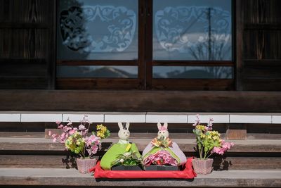 Potted plant in window