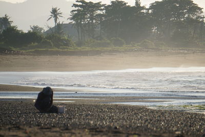 Scenic view of beach