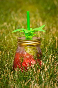 Close-up of jar on grass