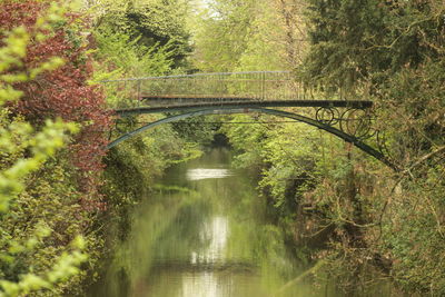 Bridge over river in forest