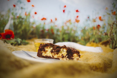 Close-up of cake on plate