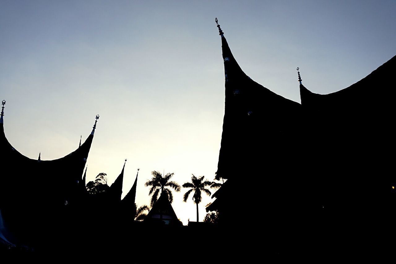 LOW ANGLE VIEW OF SILHOUETTE PLANTS AGAINST SKY