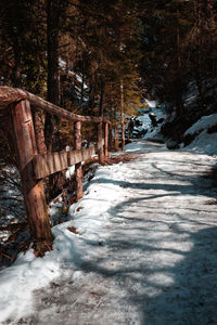 Snow covered footpath amidst trees in forest