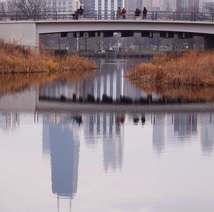 Reflection of trees in river