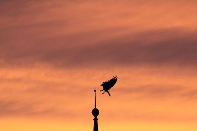 Low angle view of silhouette bird against orange sky