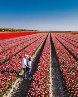 View of man standing in field