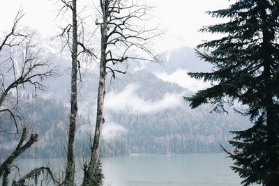 Natural landscape sea misty mountains outdoors