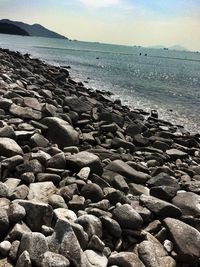 Scenic view of rocky beach