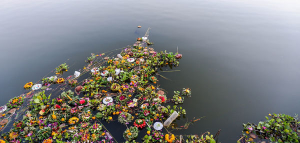 Krathong after the end of the loi krathong thai festival it becoming rubbish in the river