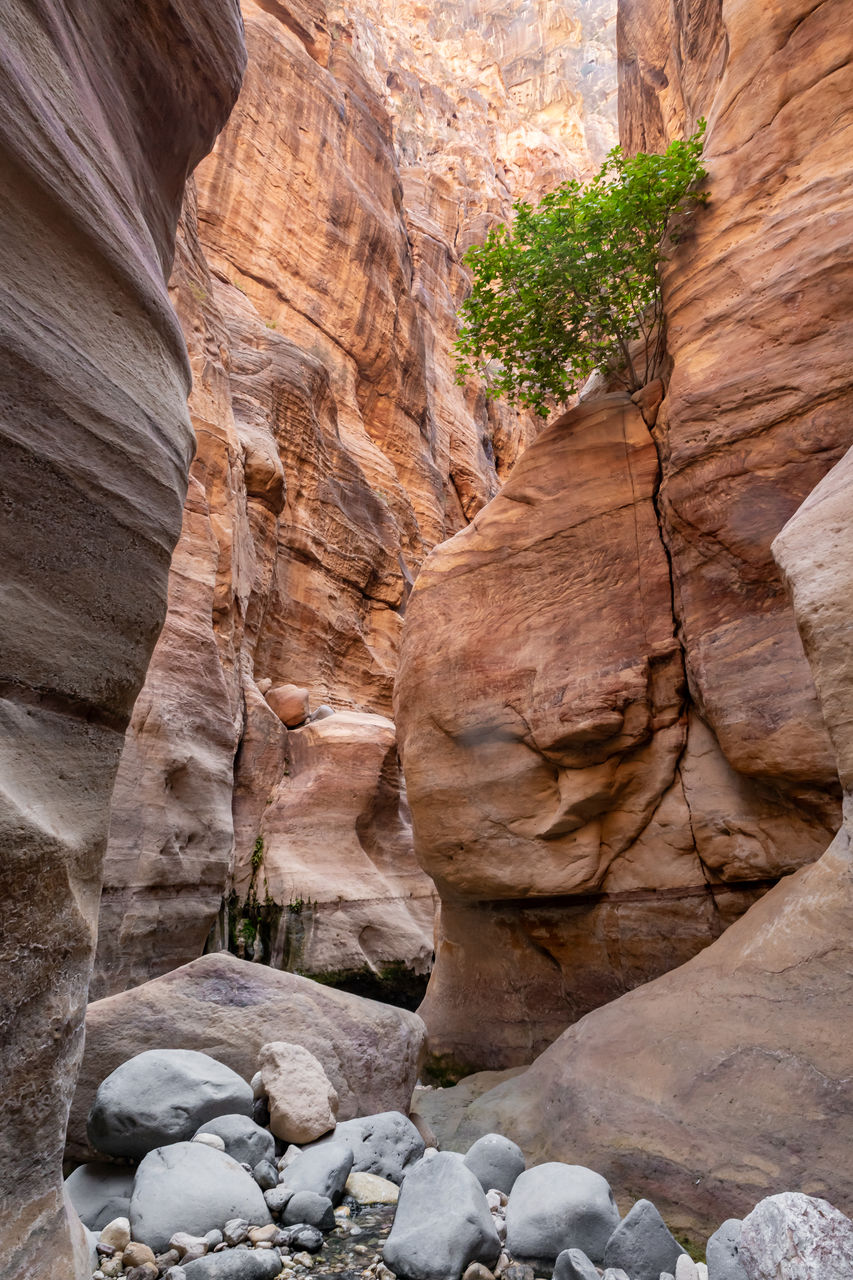 rock, rock formation, geology, beauty in nature, nature, non-urban scene, scenics - nature, canyon, travel destinations, wadi, eroded, land, physical geography, no people, travel, tranquility, environment, landscape, sandstone, cliff, day, arch, extreme terrain, outdoors, tranquil scene, terrain, desert, climate, plant, idyllic, pattern, tourism, valley, sunlight, mountain, remote
