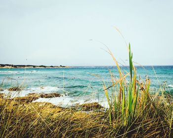 View of calm beach against clear sky