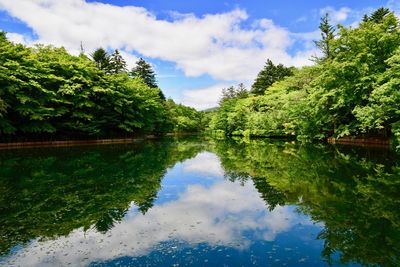 Scenic view of lake by trees against sky