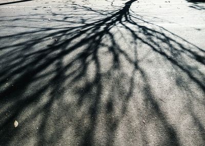 Close-up of shadow on sand