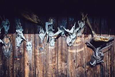 Close-up of icicles hanging on wooden wall