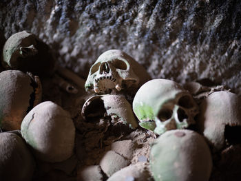 Close-up of human skull