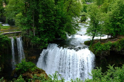 Scenic view of waterfall in forest