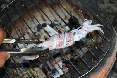 Delicious grilled splendid squid fresh from the sea and safe from formalin