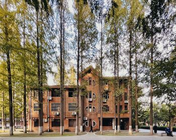 Trees by building against sky