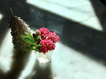 Close-up of red flower vase on table