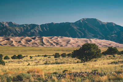 Great Sand