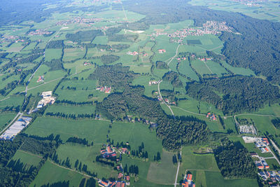 High angle view of agricultural field