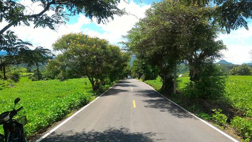 Road amidst trees against sky