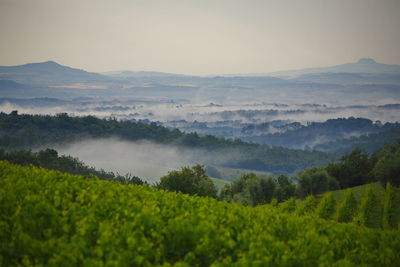 Scenic view of landscape against sky