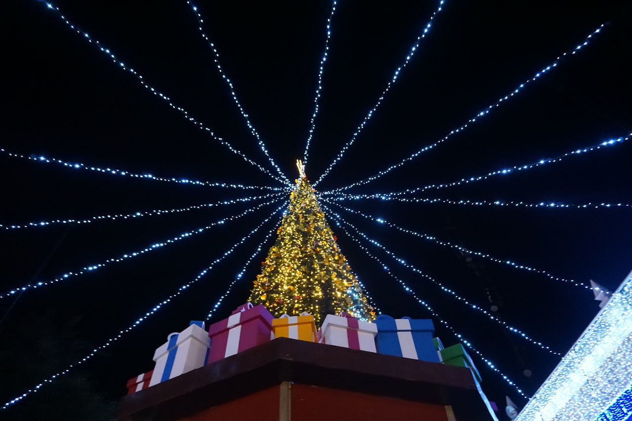 LOW ANGLE VIEW OF ILLUMINATED CHRISTMAS TREE AGAINST BUILDING