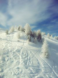 Snow covered landscape