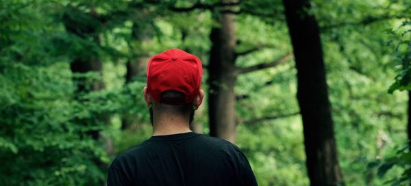 Rear view of man in forest