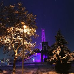 Illuminated christmas tree in city at night